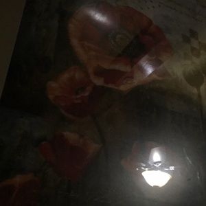 Meet your Posher, Norma